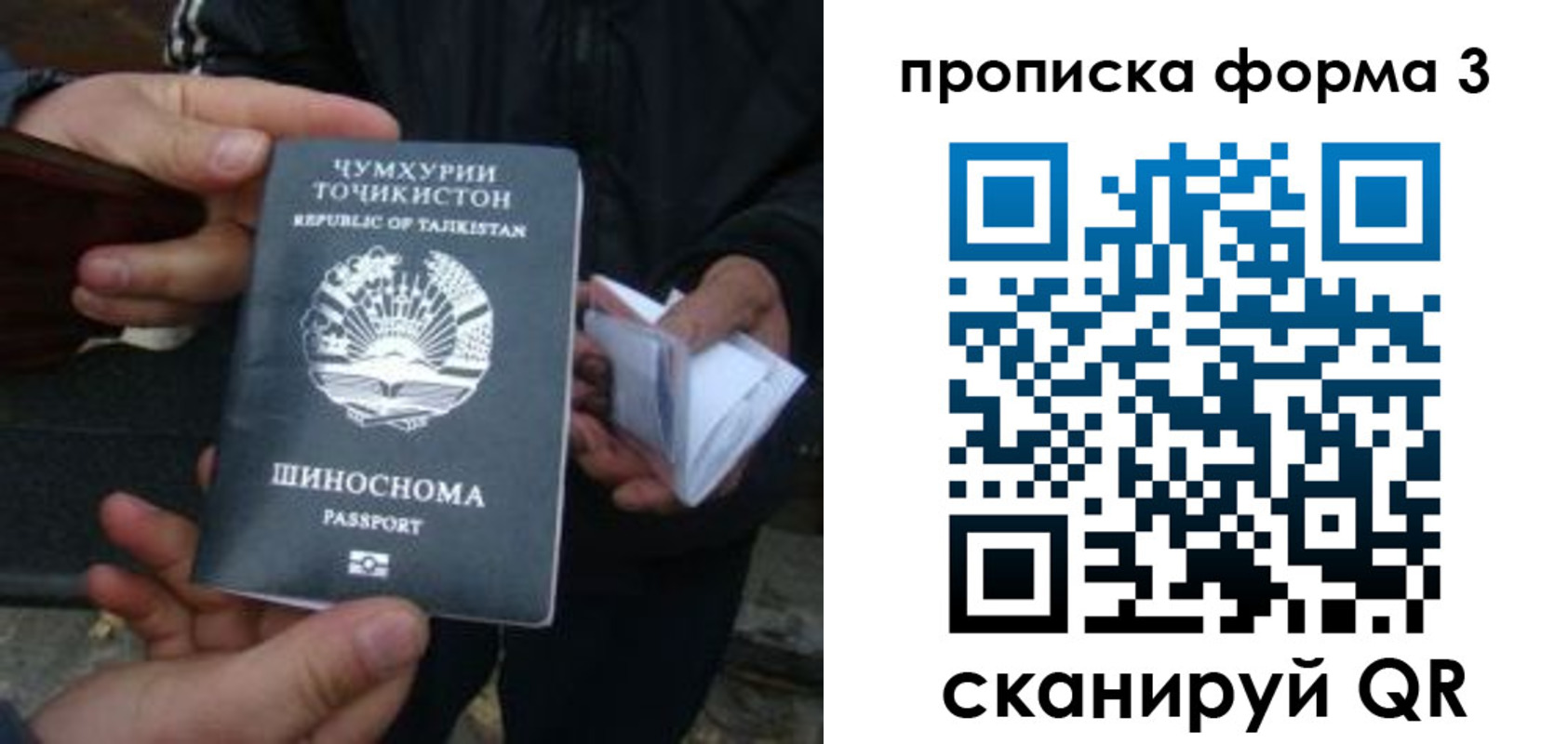 прописка 2025 в Черепаново
